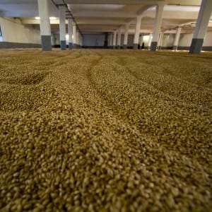 Laphroaig malt floor, Islay