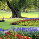 How to have the perfect picnic in Glasgow