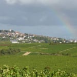 Brian Elliott: A great year for Loire Whites