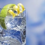 Scran season 6: The Scottish Gin Boom