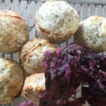 Foraging with Fiona Bird: Seaside scones