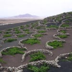 Rose Murray Brown: Volcanic wines erupt with flavour and character