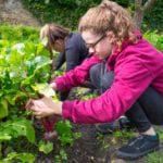 Edinburgh chef launches national initiative encouraging people to engage with local producers