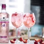 New gin craze boosts drinks giant Diageo's sales