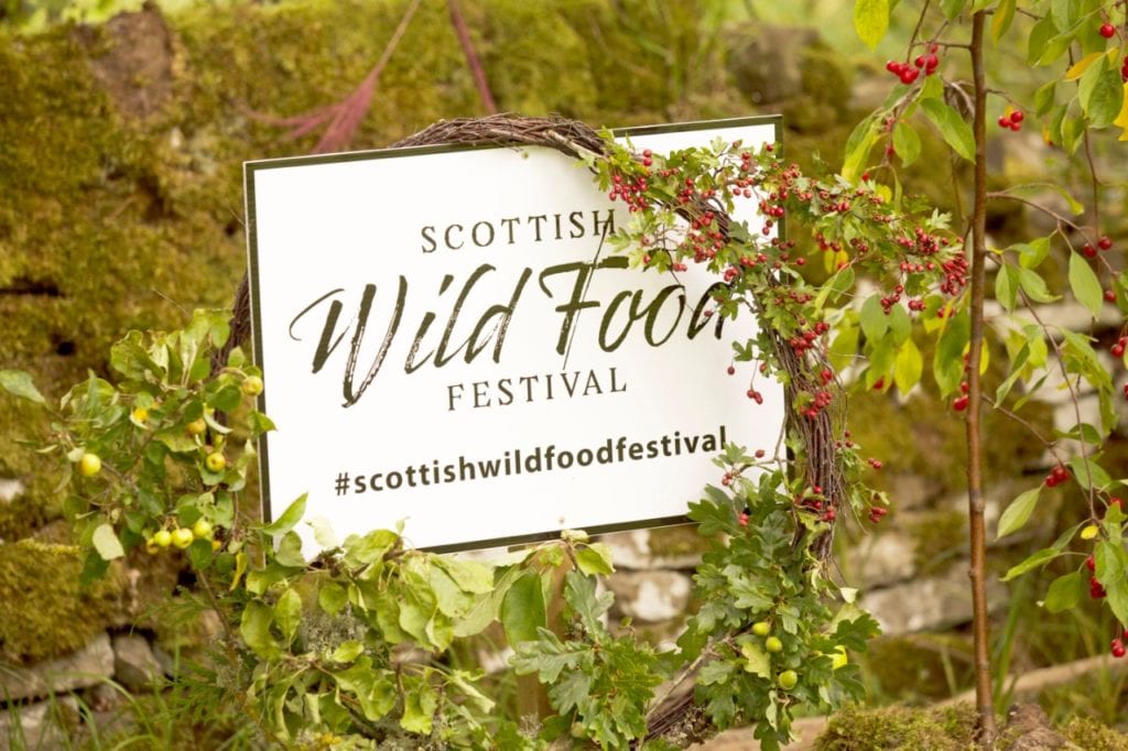 foraging festival