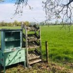 Scotland's smallest cake shop? Honesty box shop opens in restored cupboard