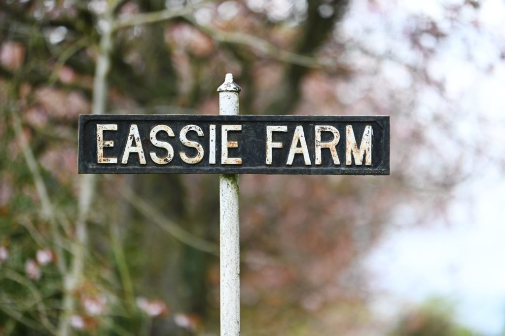 Eassie Farm, Meigle. Picture: John Devlin