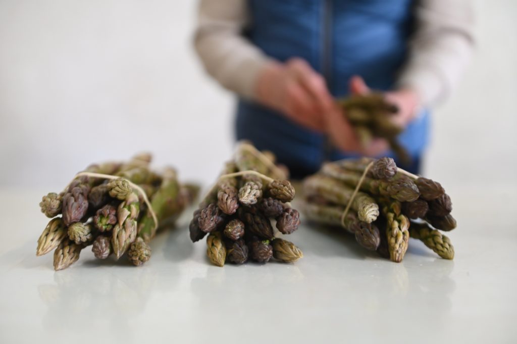 Seasonal Scottish asparagus bundled up ready to be delivered. Picture: John Devlin