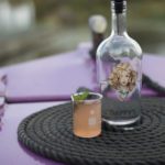 Edinburgh's Drinks Lab Gin Cruises to return next month