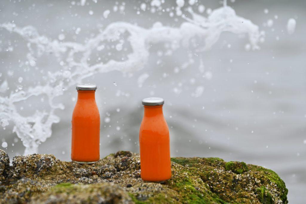 Kirstie Campbell Seabuckthorn Scotland