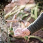 Scotland’s Larder: Rob and Gabrielle Clamp of Birkentree in Perthshire