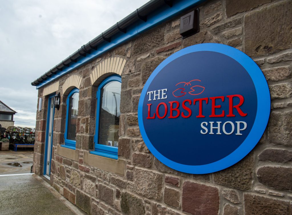 Loren McBay The Lobster Shop