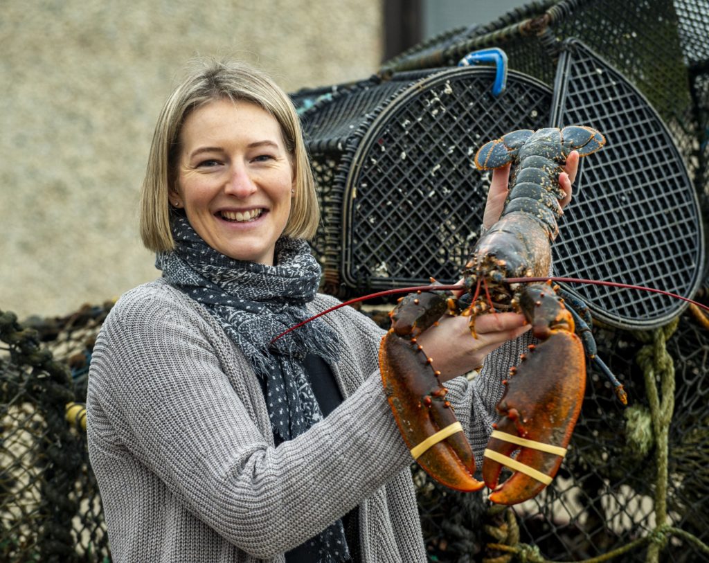 Loren McBay The Lobster Shop