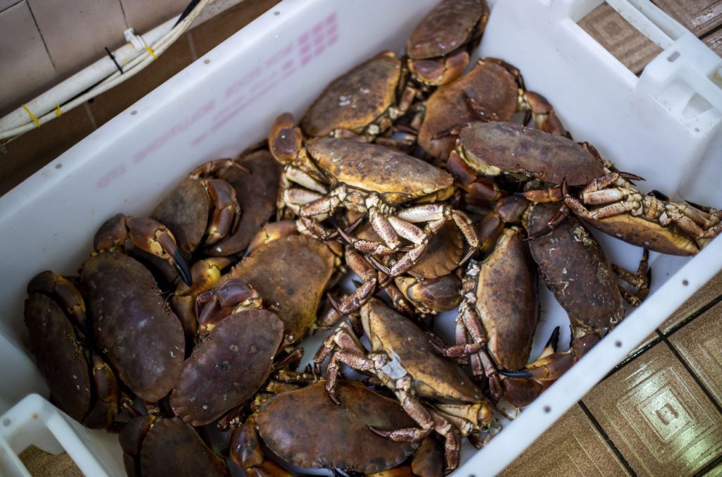 Clark Brothers Fishmongers, Musselburgh