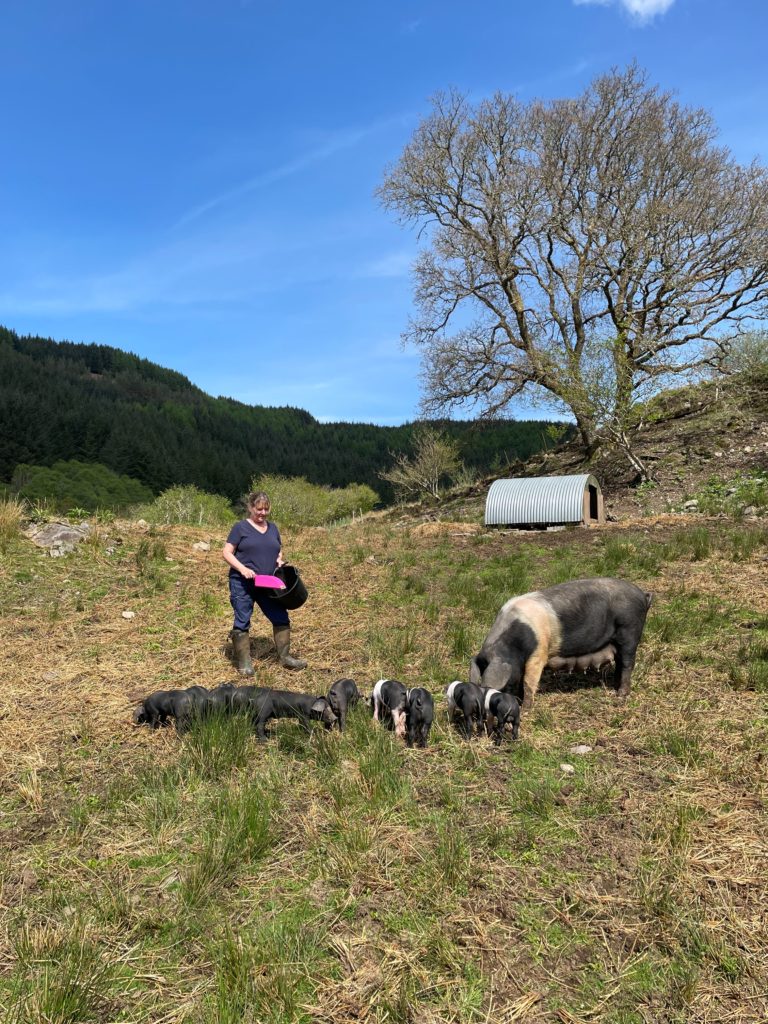 The Wee Pig Company, Oban