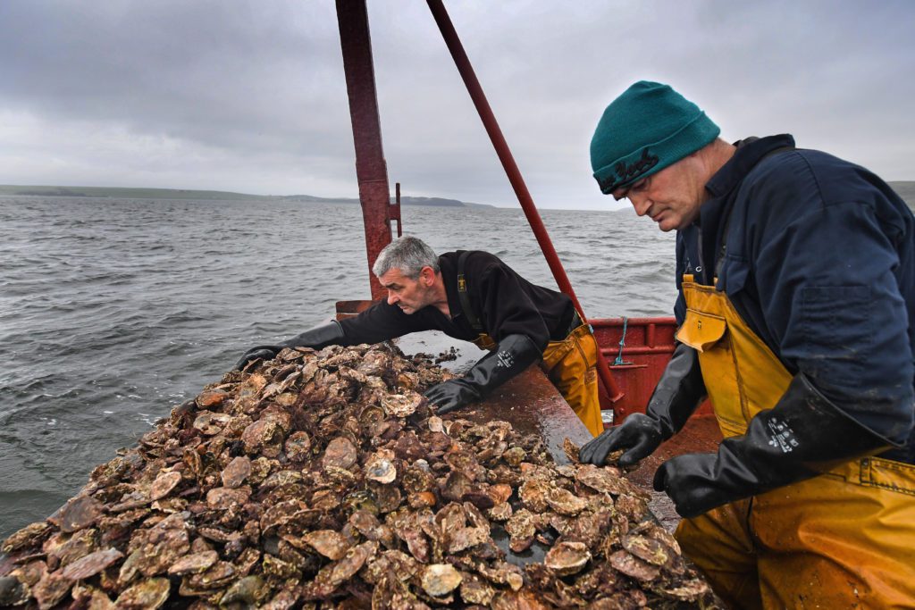 Stranraer Oyster Festival