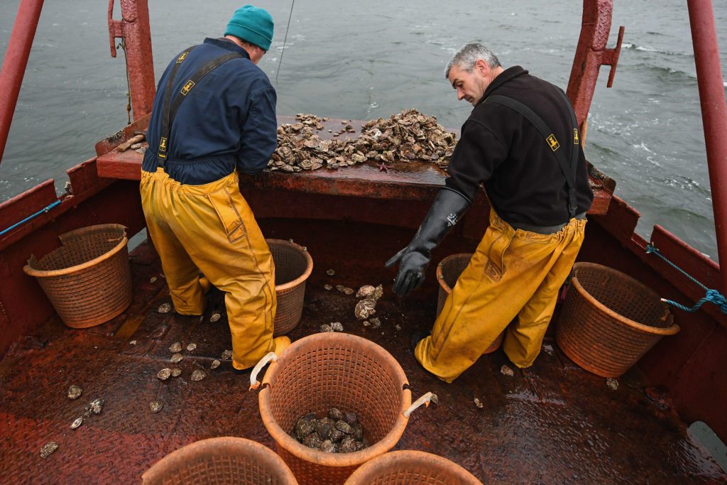 Stranraer Oyster Festival