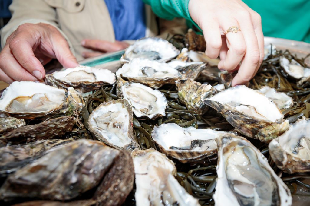 Tristan Hugh-Jones of The Loch Ryan Oyster Fishery Company